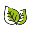 Abilene, Texas Landscaping Services