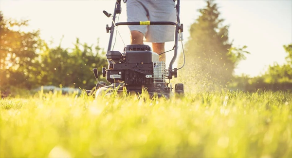 Abilene, Texas Landscaping Maintenance