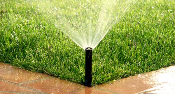 Irrigation System