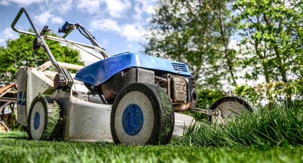 Landscaping Maintenance