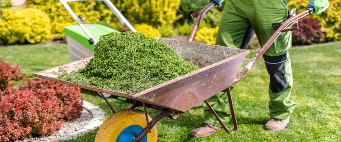  Spring & Fall Cleanup