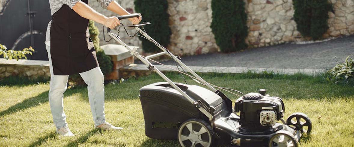 Design and Planting Services Abilene, Texas