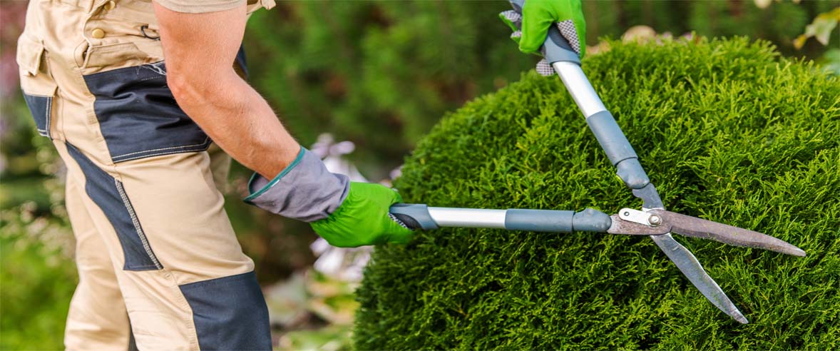  Maintenance Services