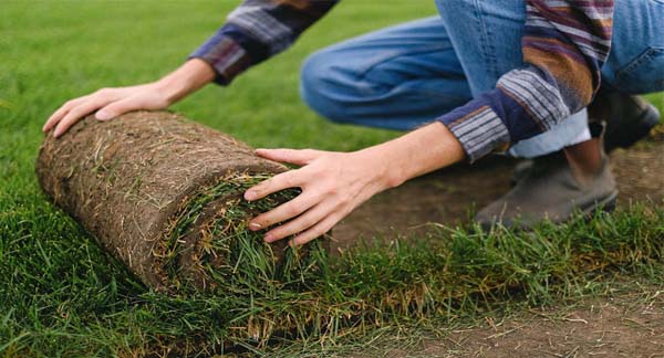 Spring Cleanup